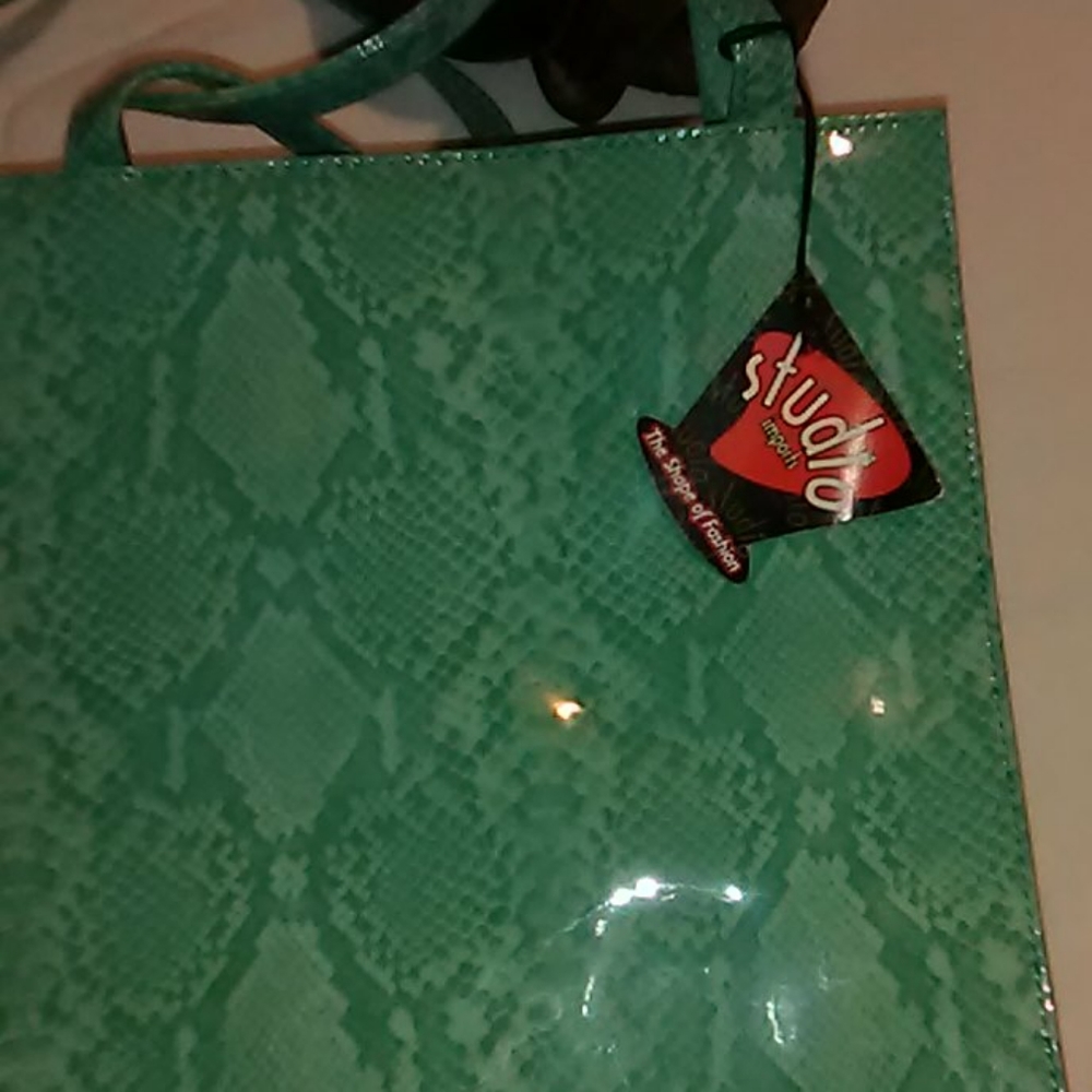 Studio Import Snake Skin Purse